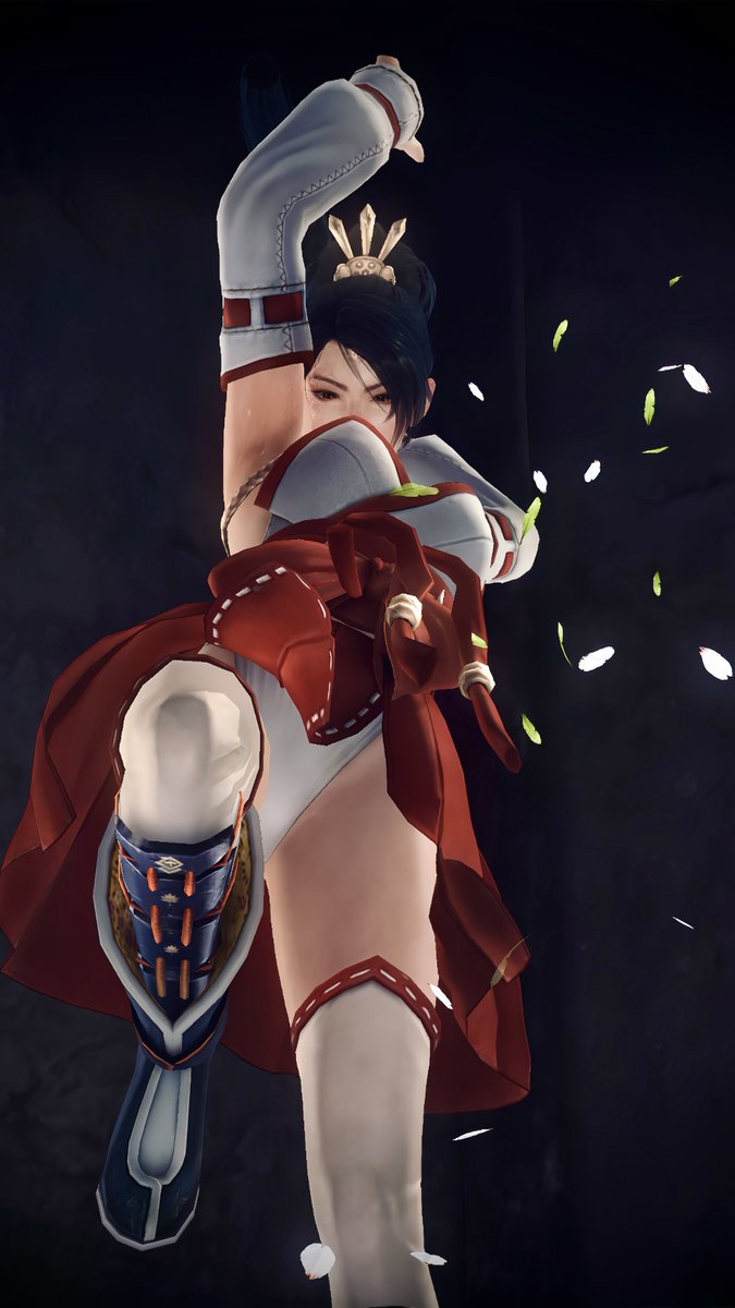 紅葉さん巫女だけど"くのいち"っていうのが良いよね
#DOA5LR