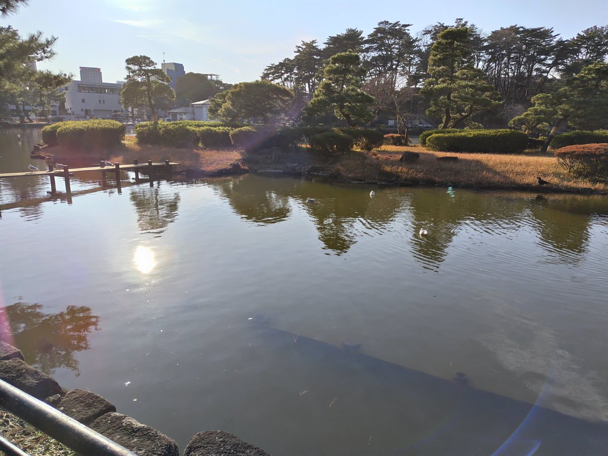 KobayashiYo's tweet image. 北カリフォルニアのベイエリアは、完全にイカレてた。言いたくはないんだけど、でもホントだから仕方ない