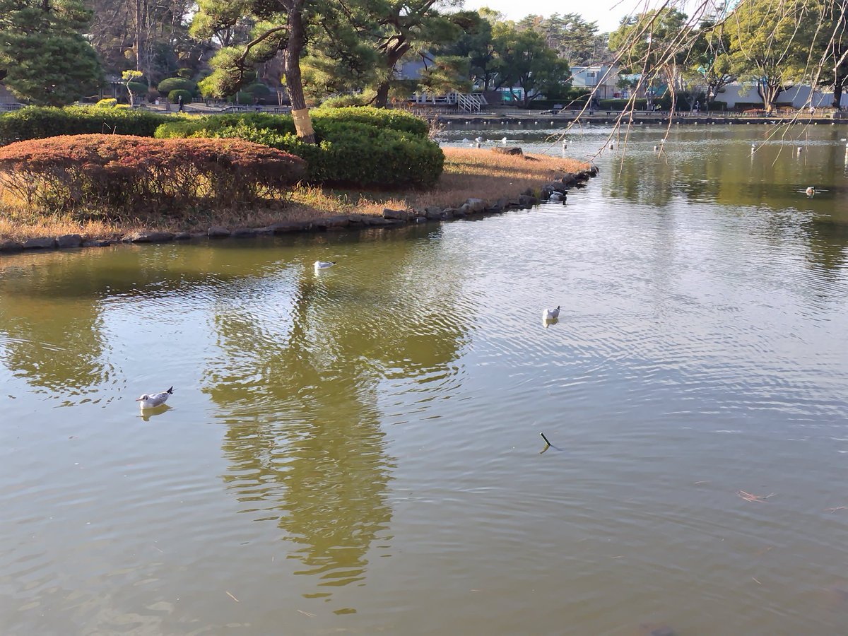 KobayashiYo's tweet image. 北カリフォルニアのベイエリアは、完全にイカレてた。言いたくはないんだけど、でもホントだから仕方ない