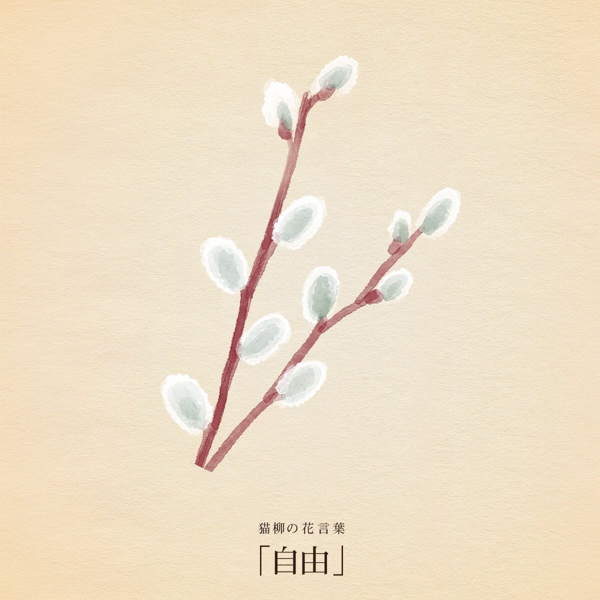 きょう2月12日は
ブラジャーの日
黄ニラ記念日
ペニシリンの日
ボブスレーの日
レトルトカレーの日
リンカーンの誕生日
ダーウィンの日(ダーウィンの誕生日)

誕生花はネコヤナギ
花言葉は「自由」