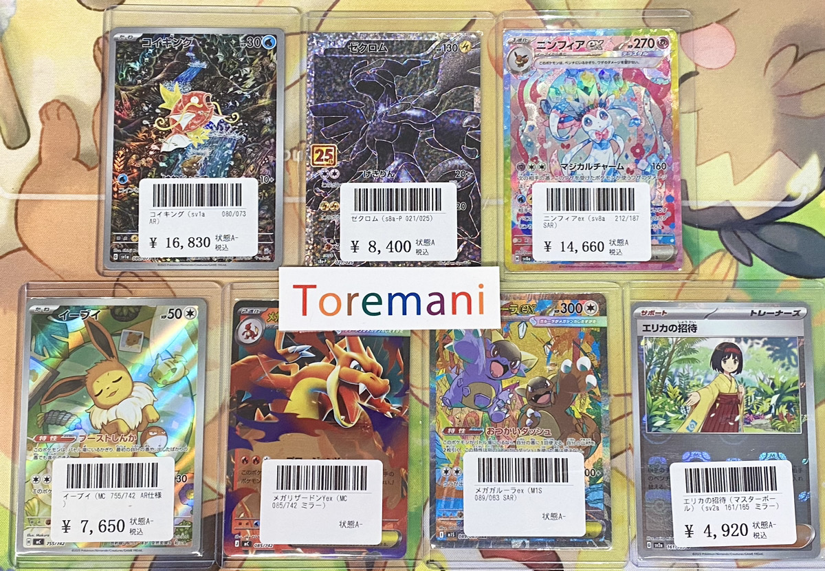Toremani さんより入荷いただきました✨