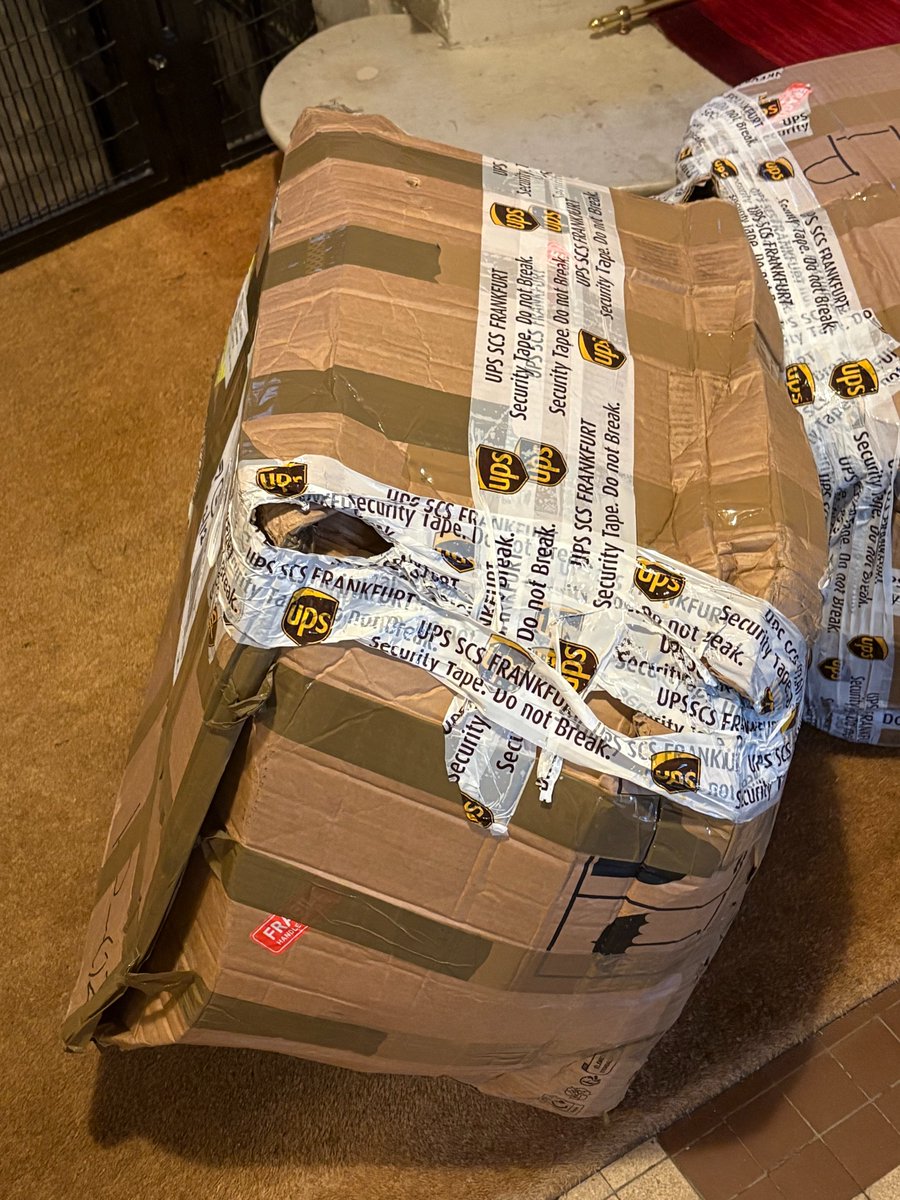 Bruno Motta tweet media