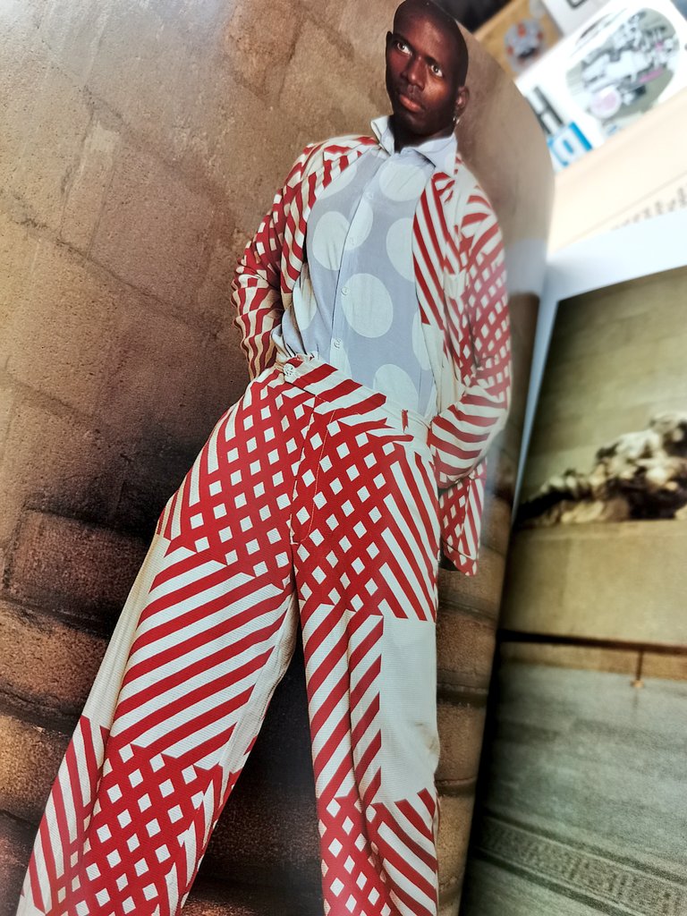 アート・デザイン・音楽 Vivian Westwood Claire Wilcox アート・デザイン・音楽 Vivian Westwood Claire Wilcox Vivienne