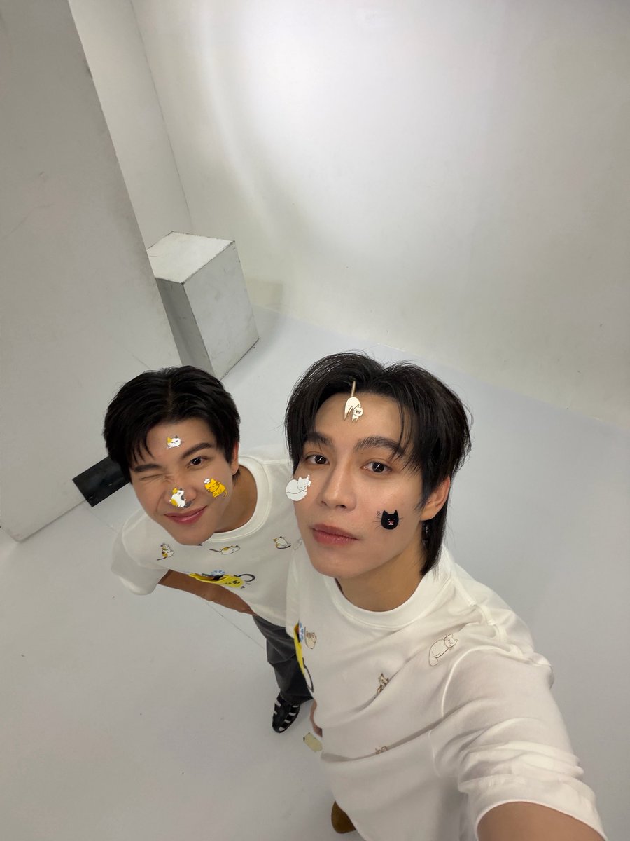 Firstkpp's tweet image. 🐈🐈‍⬛ #CatForCash