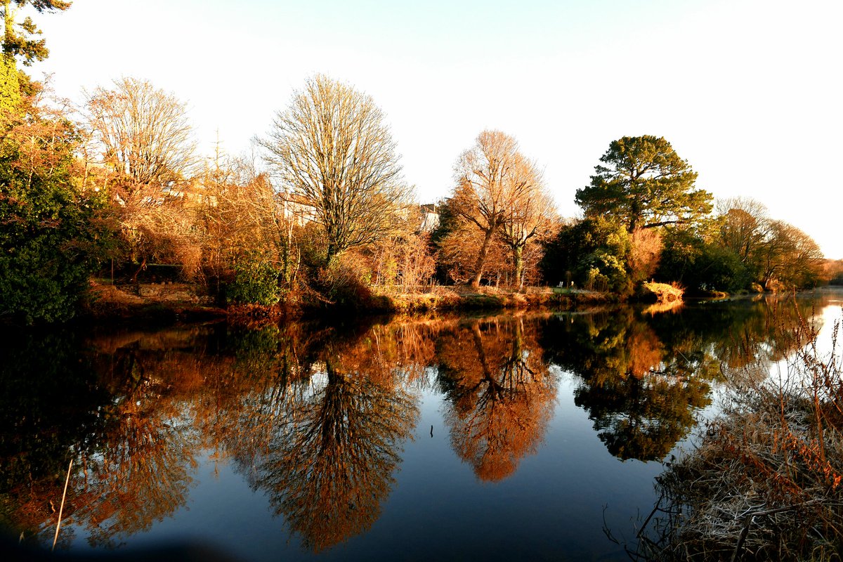 Kevin Daly tweet media