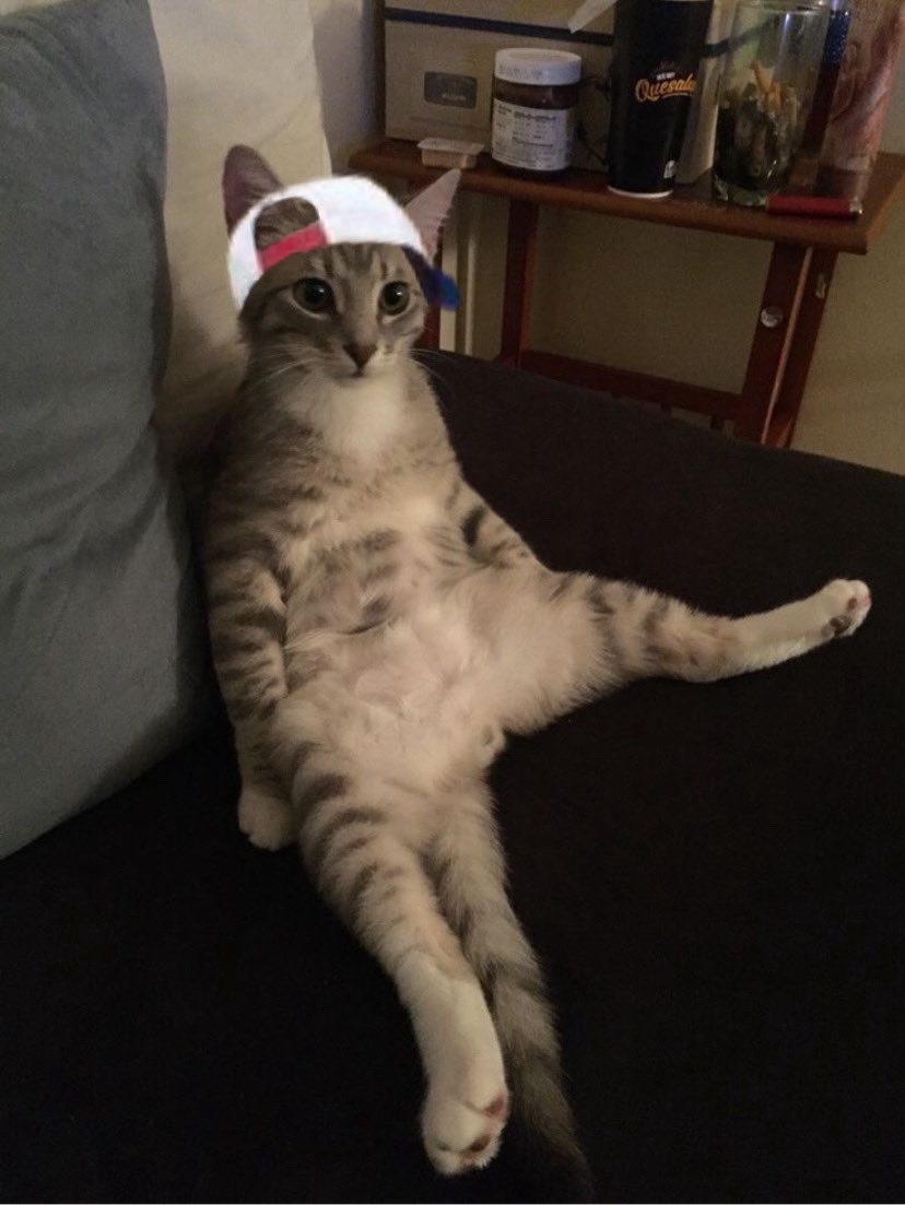 keonlogy's tweet image. 