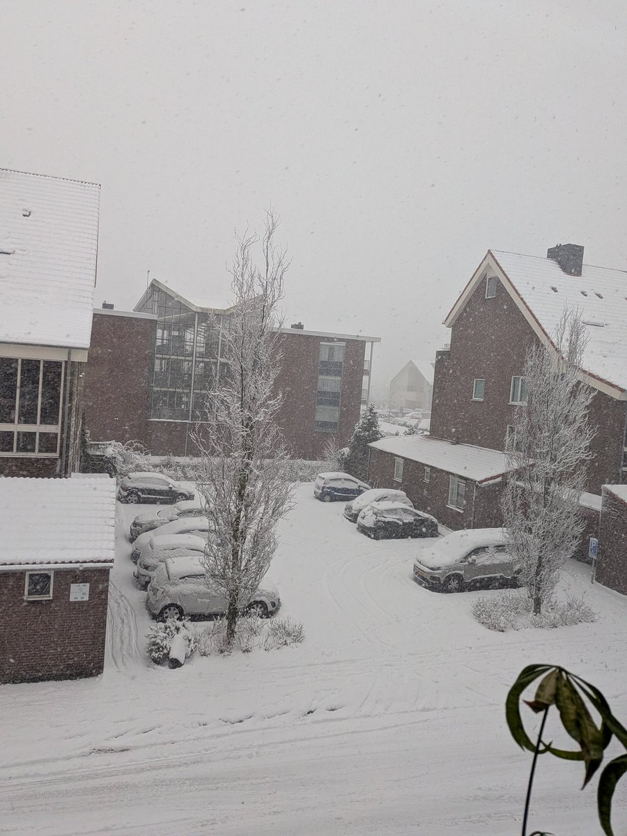 Okay, this is nice, again 2 weeks too late but very nice