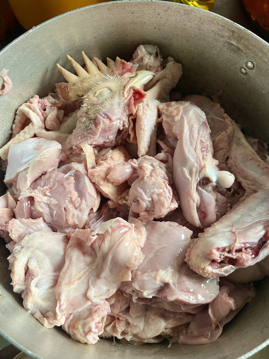 Farewell my chicken 🥹