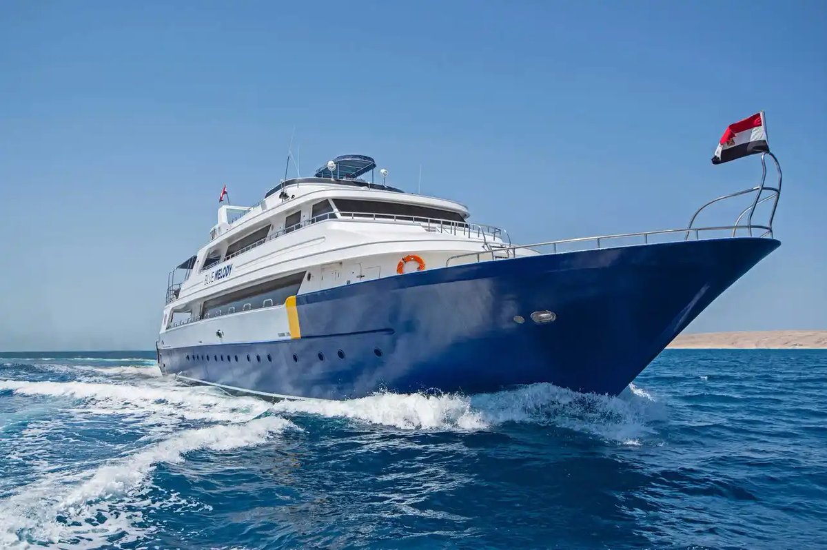 LiveaboardCom's tweet image. 🇪🇬 Blue Melody, Red Sea — up to 40% OFF
Wrecks. Reefs. Deep south sites. 🌊
🚢 Spacious yacht • Tender diving • Camera tables
📆 April 2026
👉 liveaboard.com/diving/egypt/b…
#RedSeaDiving #LiveAboard #Scuba