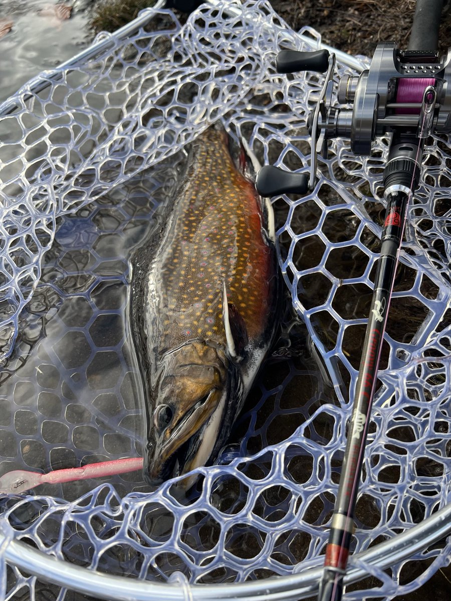 ゆうた tweet media