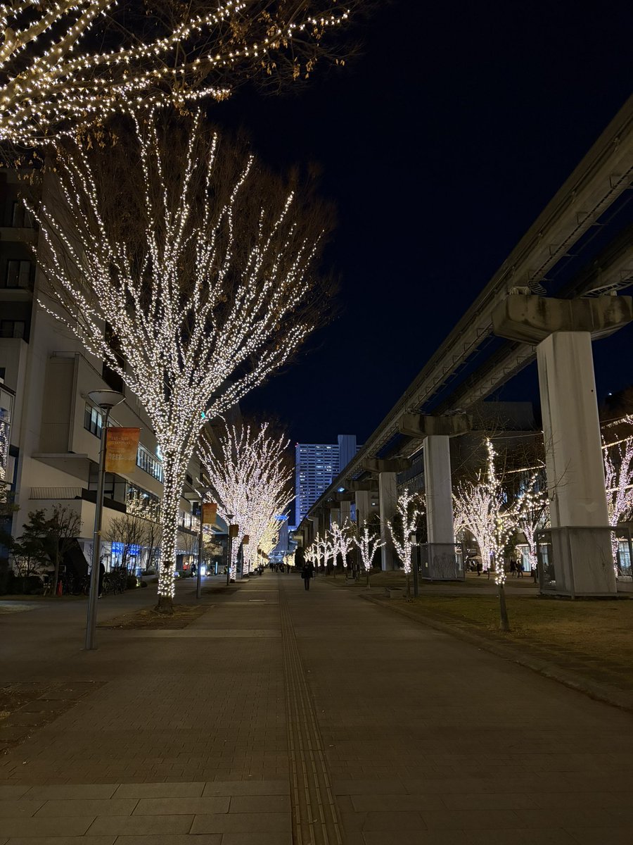 あけましておめでとうございます！
本年もよろしくお願いいたします！
年末に車を手放すことになり、年始は車探しの旅に。結果、車探しは車がないとツラい、ということが発覚(笑)
よく歩いてて健康的だね、ということにします！