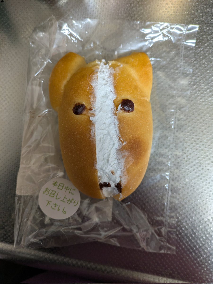 午年なので、とうとう近所のスーパーにもウマコッペが🐴
AERUまで買いに行けないので、買ってしまいました😂
ちょっとコアラにも見えて来ました🍞