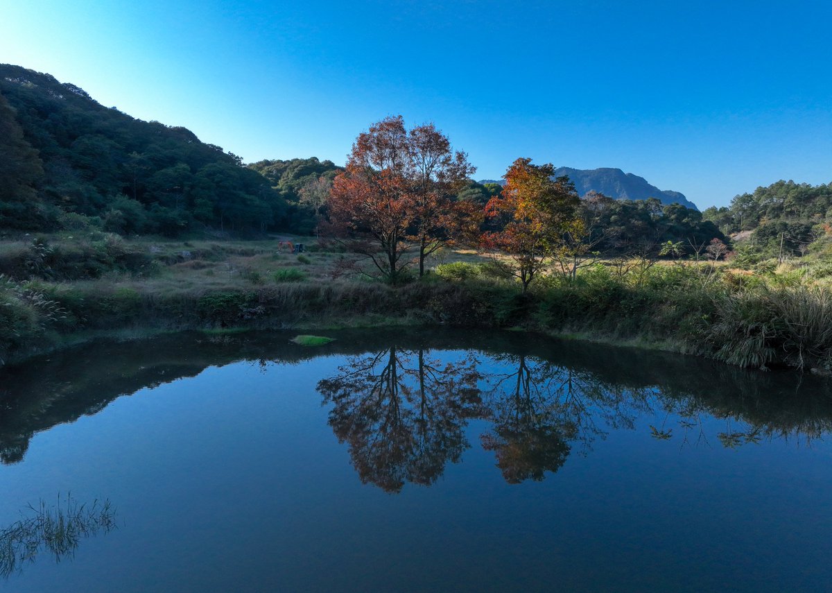 HolaFujian's tweet photo. 😍 🍁 🌲 As winter approaches, Dahua Mountain in Fuqing city, Fuzhou, enters its most dazzling season of the year. The mountains are quietly cloaked in vibrant red maple leaves, painting the forests in rich hues and creating a breathtakingly beautiful landscape… ❤
#MapleLeaves #DahuaMountain #Fuzhou
@FuzhouCity @CCGBelfast @ChinaEmbGrenada
@QiushiJournal @SeeChangchun @zhang_heqing
@yuexuankanyue1 @Logan_ology @SilkRoadTravel_
@uatcnews @cultureCHN @UNEP @chinaconsulist
@libelula_group @iloveguizhou @ChnConsulateNag
@ChinaCG_HH @salahzhang @consulat_de @ihenan_