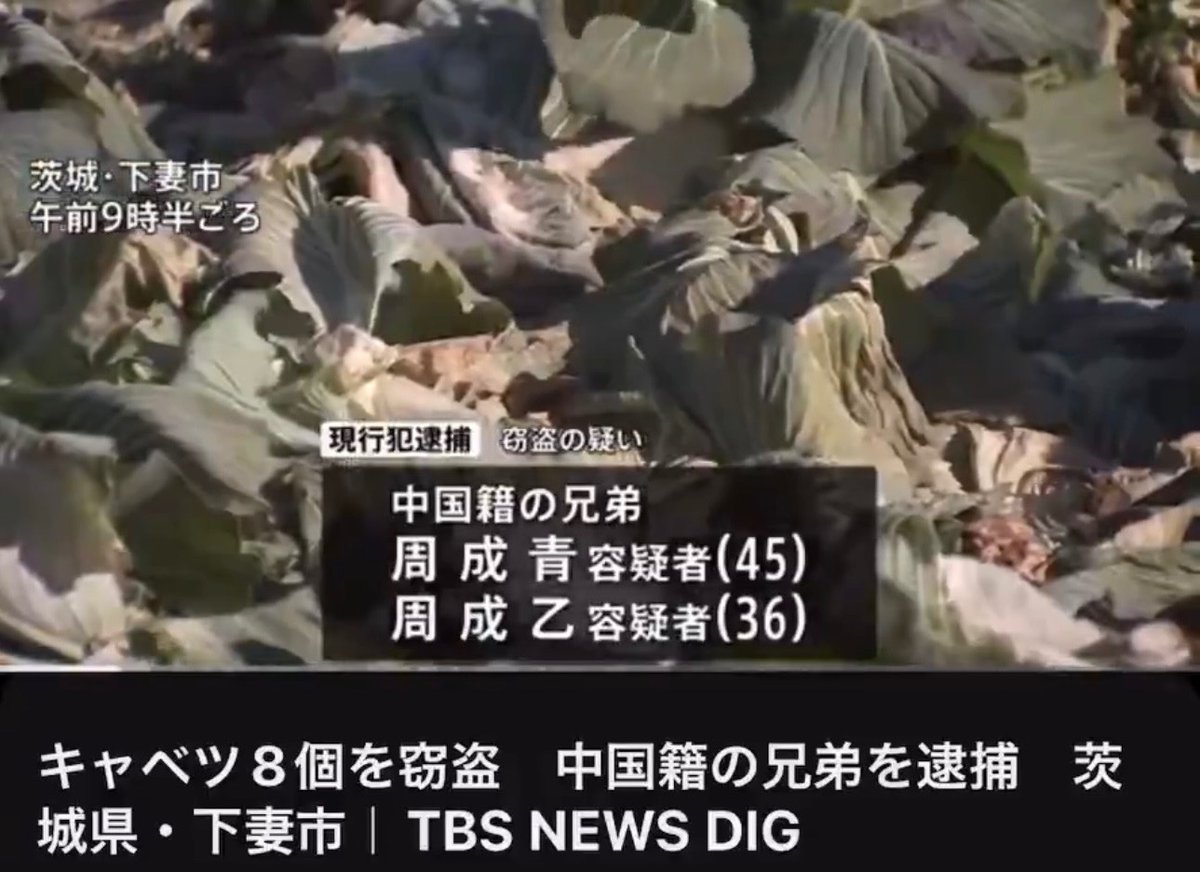 中国人は入国禁止でいいと思う人✋