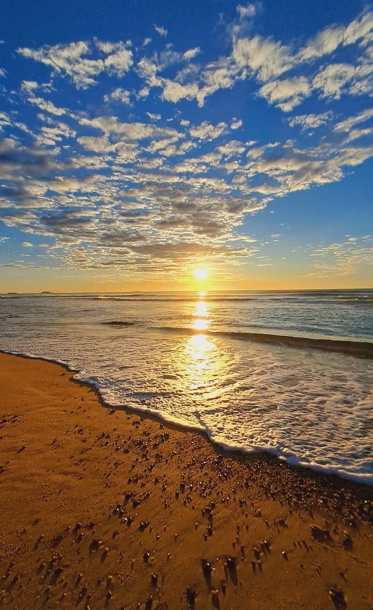 Emermuo's tweet image. GM champs 🌞 Focus on progress, not perfection.