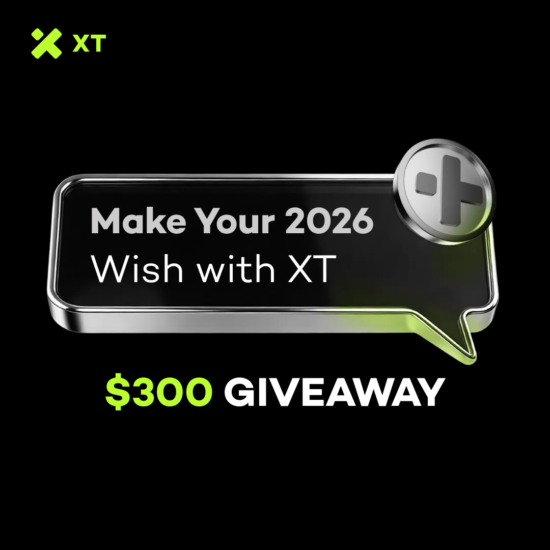 XT Exchange 🚀 tweet media