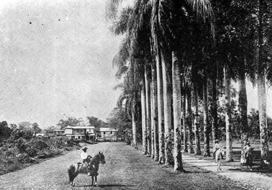 Guápiles de antaño