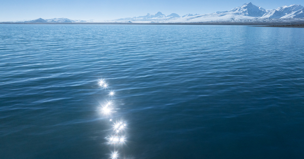 Meta Zoie tweet media