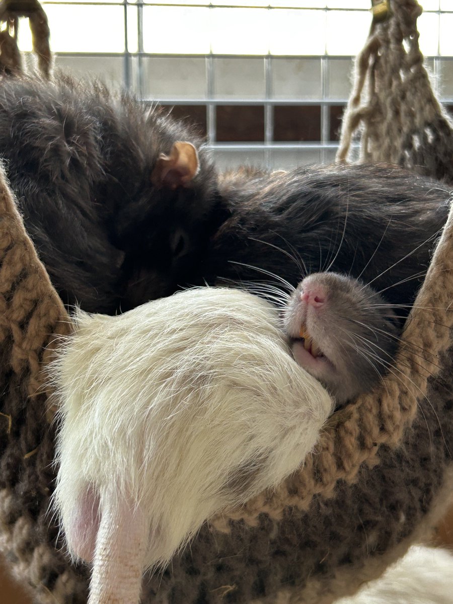 はみ出てんねえ