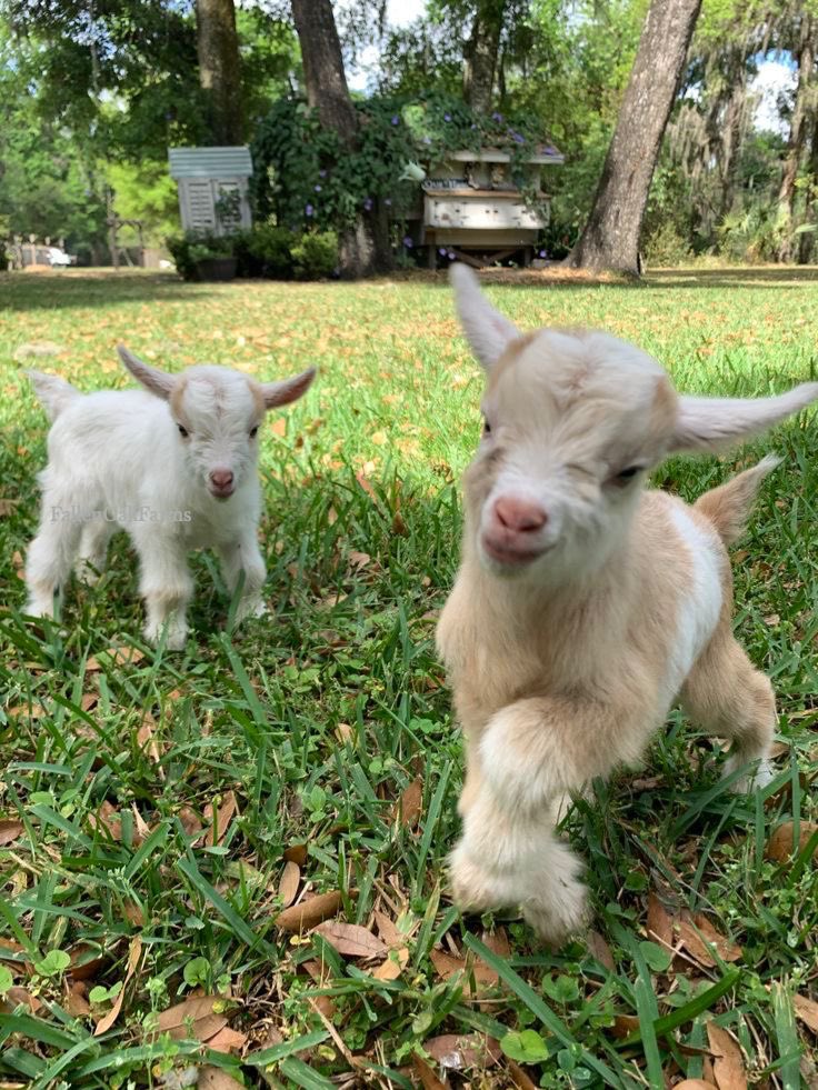 sera (@seraphicxc) on Twitter photo 