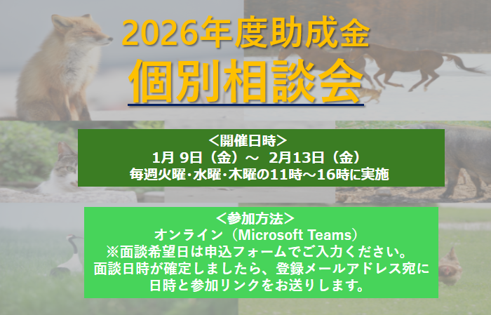 JAC_foundation's tweet photo. 【2026年度助成募集 個別相談会のお知らせ 】
 
公益財団法人JAC環境動物保護財団では、2026年度助成選考の募集を2月より開始予定です。
募集に先立ち、助成金応募に関するご質問やご相談に幅広く対応する個別相談会を実施いたします。 

詳細は下記URLをご確認ください。
https://t.co/rp4OEf49rw https://t.co/opiorvTjH4