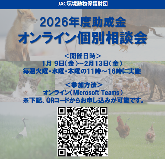 JAC_foundation's tweet photo. 【2026年度助成募集 個別相談会のお知らせ 】
 
公益財団法人JAC環境動物保護財団では、2026年度助成選考の募集を2月より開始予定です。
募集に先立ち、助成金応募に関するご質問やご相談に幅広く対応する個別相談会を実施いたします。 

詳細は下記URLをご確認ください。
https://t.co/rp4OEf49rw https://t.co/opiorvTjH4