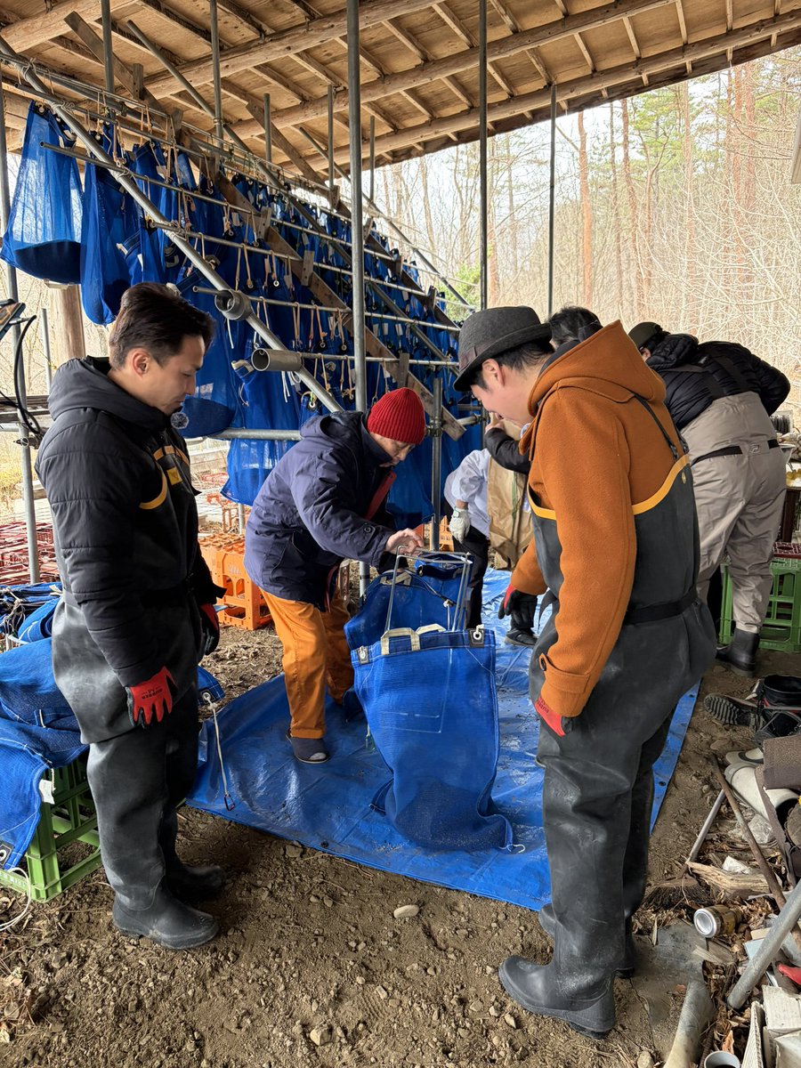 川崎町ちょこっとええもん&川崎町ちょこっとええtube【公式】 tweet media