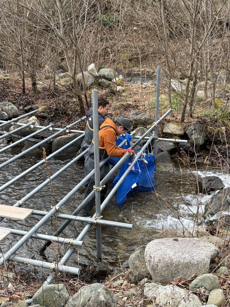 川崎町ちょこっとええもん&川崎町ちょこっとええtube【公式】 tweet media