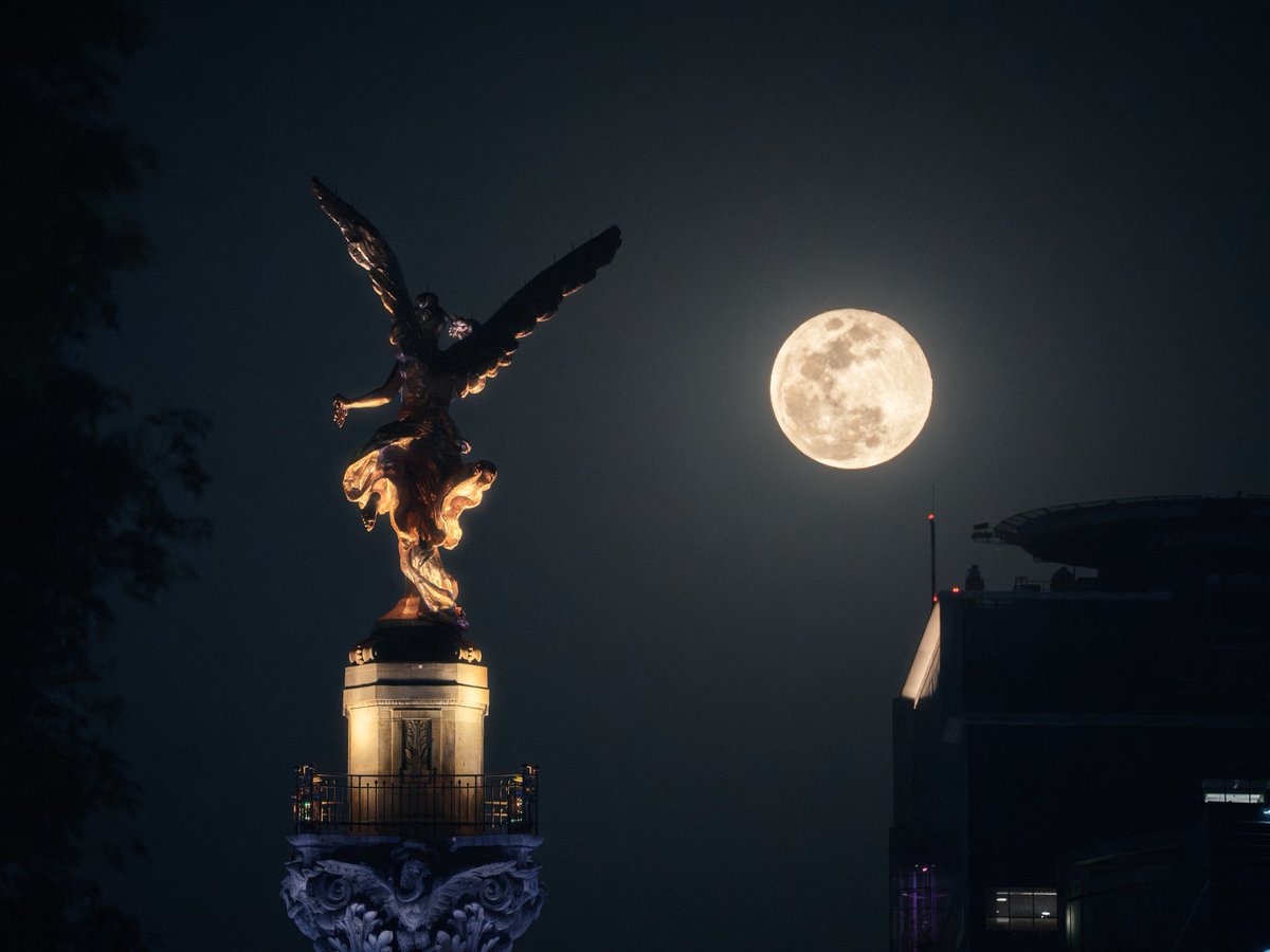 La primera luna llena del 2026 desde Paseo de la Reforma 🌕

#WolfMoon #CDMX #Fotografia