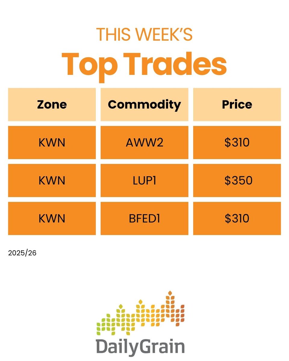 DailyGrain tweet media