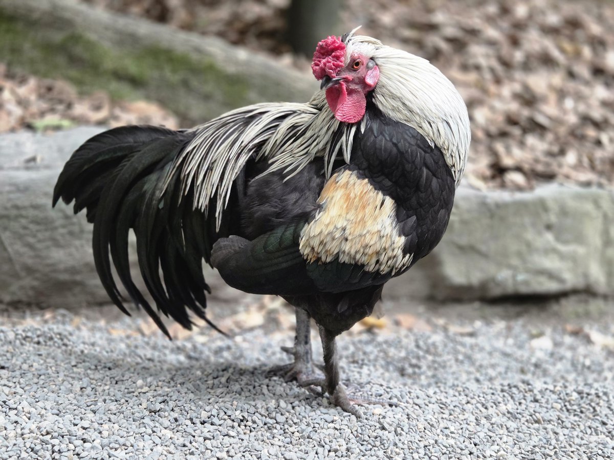 てか、縁じゃなくて緑になってね？WWWWWWW