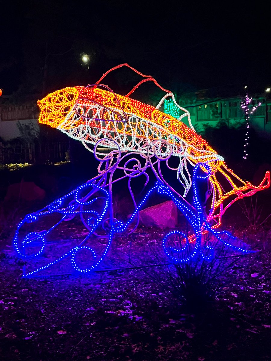 Avenly13's tweet photo. Topeka, Kansas Zoo https://t.co/imjGQWMYja