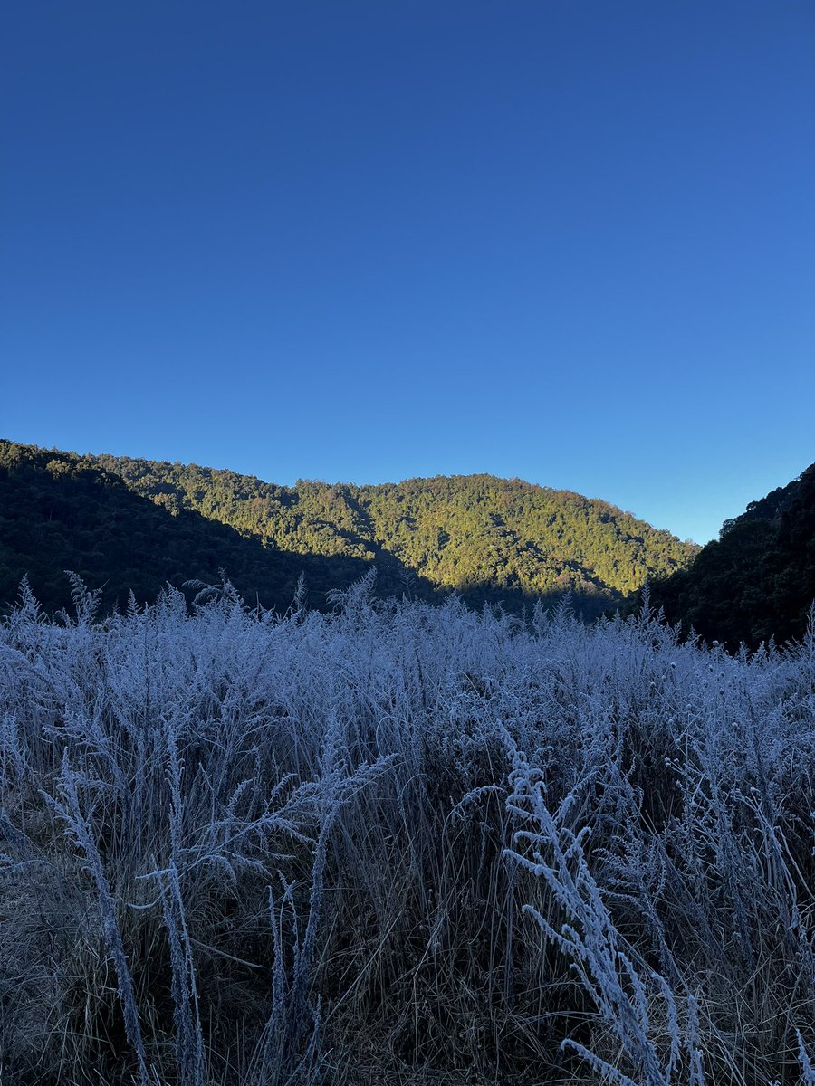 Kuzotelohe's tweet image. Winter in Nagaland

❄️
