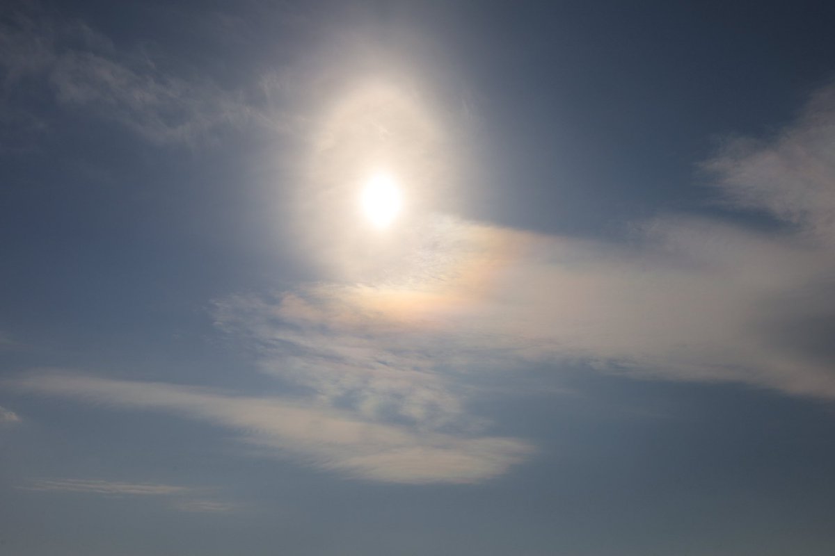 みなみ🐬✨💐 tweet media