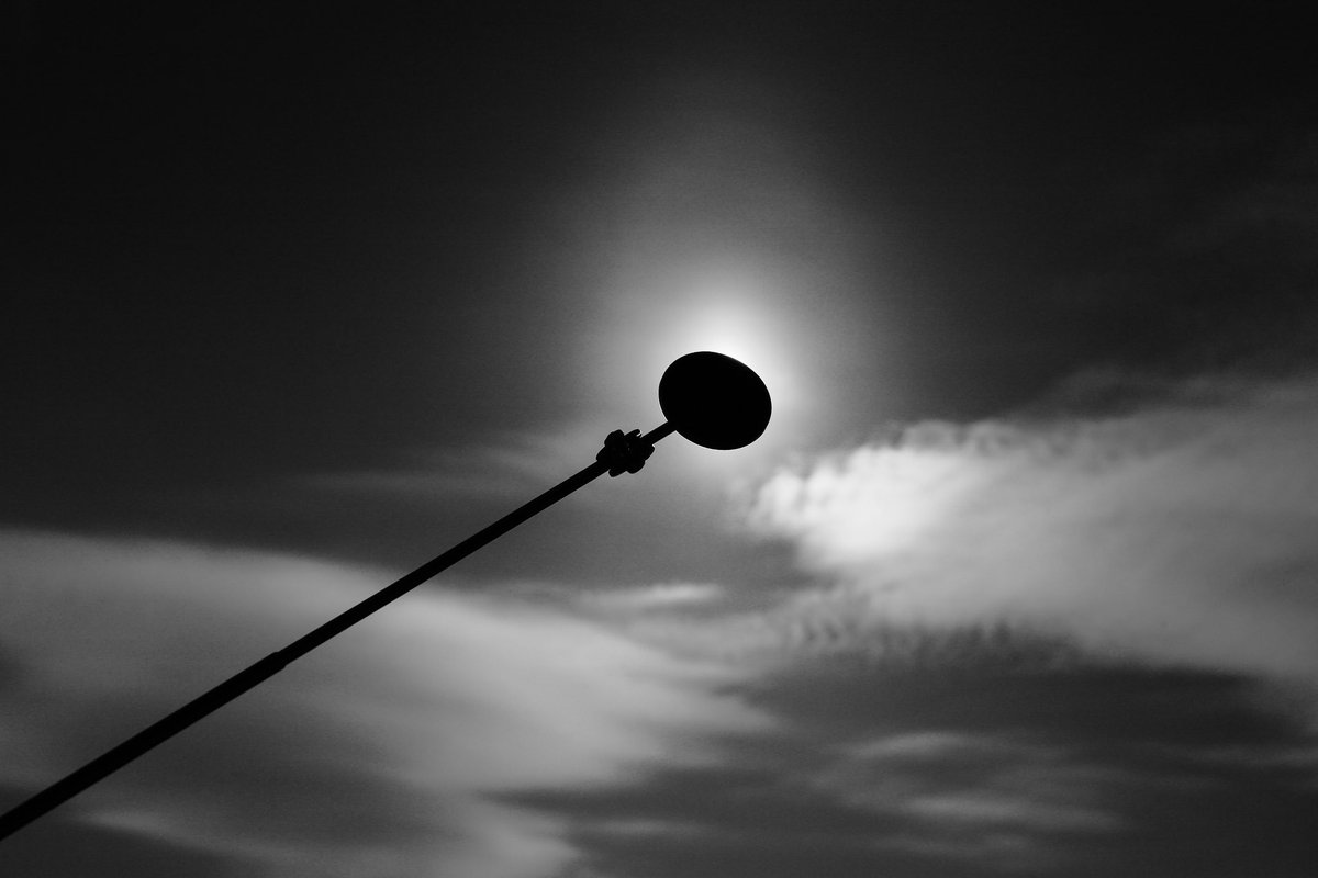 みなみ🐬✨💐 tweet media