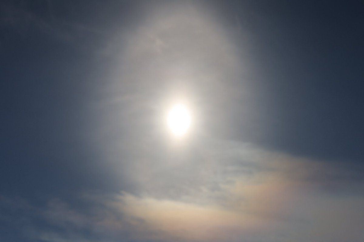 みなみ🐬✨💐 tweet media