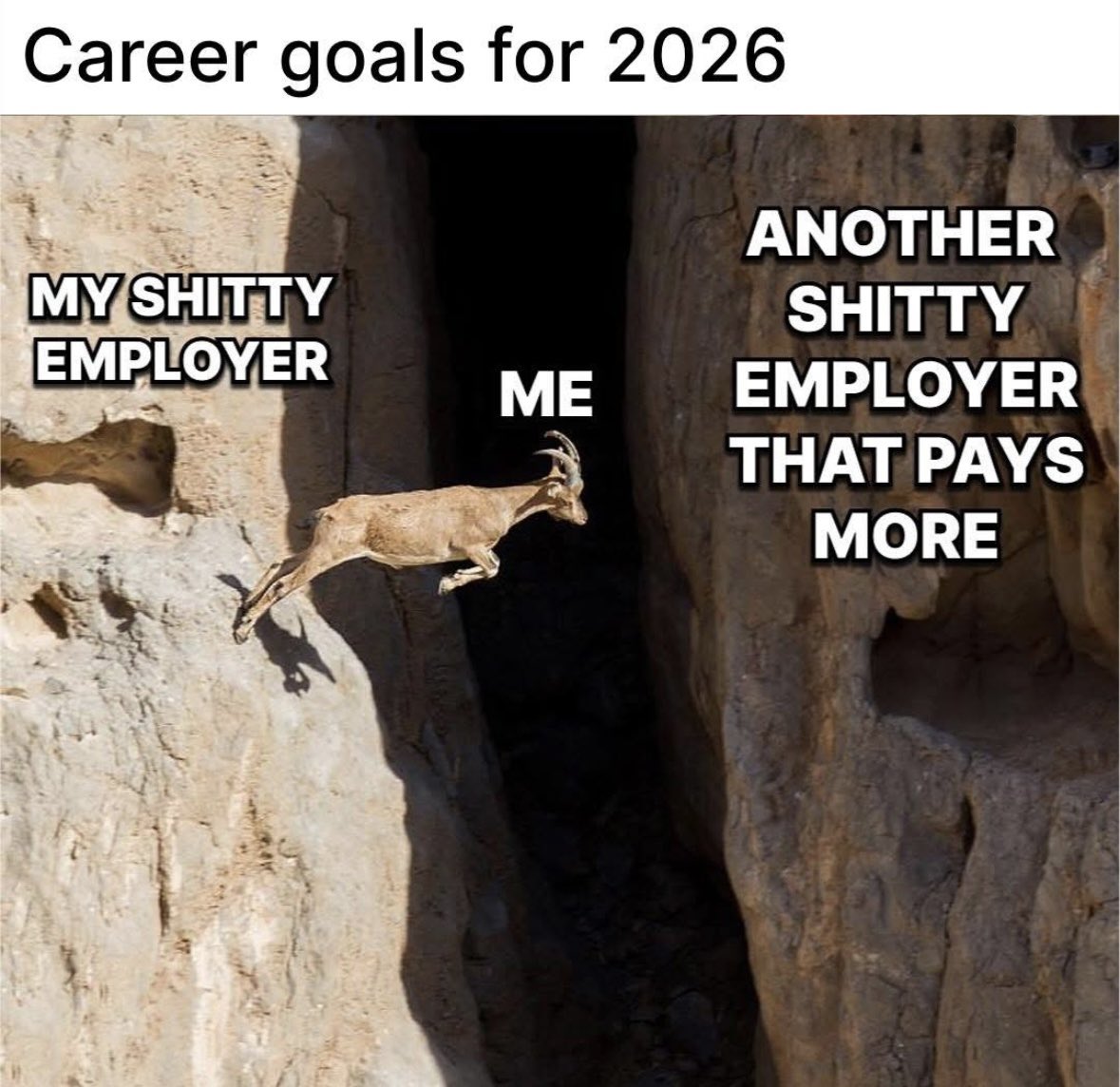 Respectful Memes (@respectfulmemes) on Twitter photo 