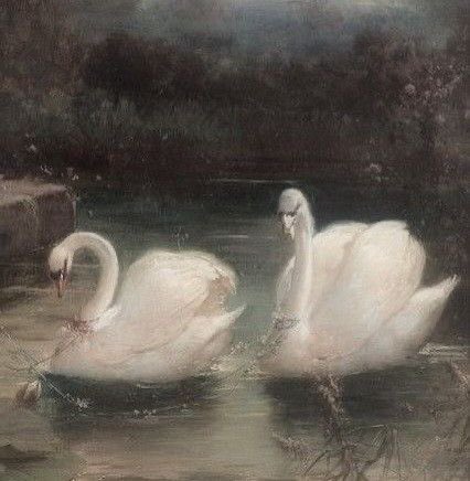 ⋆｡˚୨𝒓𝒐𝒔𝒆୧˚｡⋆ tweet media