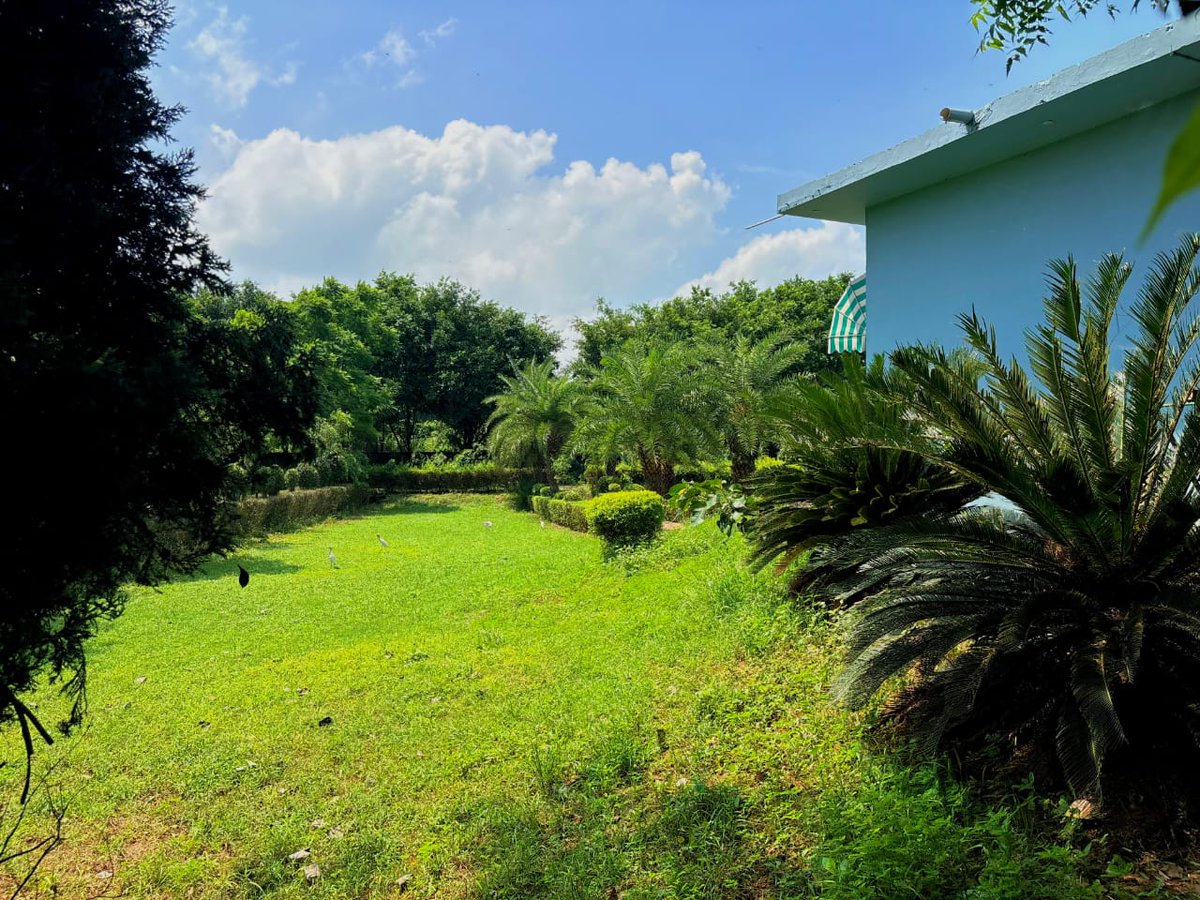 HaritVatika's tweet photo. Dreaming of your own home near Jewar International Airport?
Harit Vatika Projects brings you affordable residential plots on Yamuna Expressway, Greater Noida.
Perfect location. Modern facilities. A lifestyle you deserve.
📞 Call now: +91-9355659143
#HaritGroup #YamunaExpressway https://t.co/CVg0AHMPzD