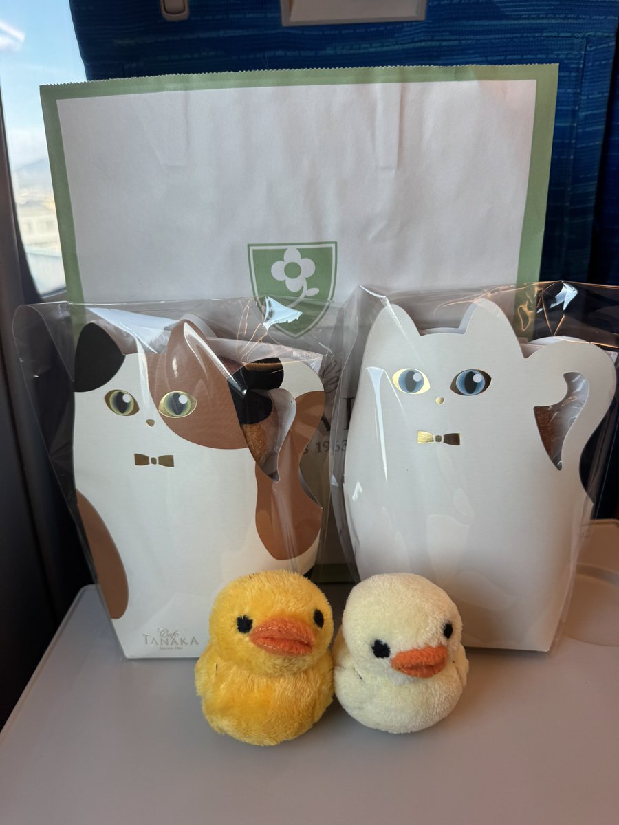 ねねこ (@n_nekoyashiki) / Posts / X