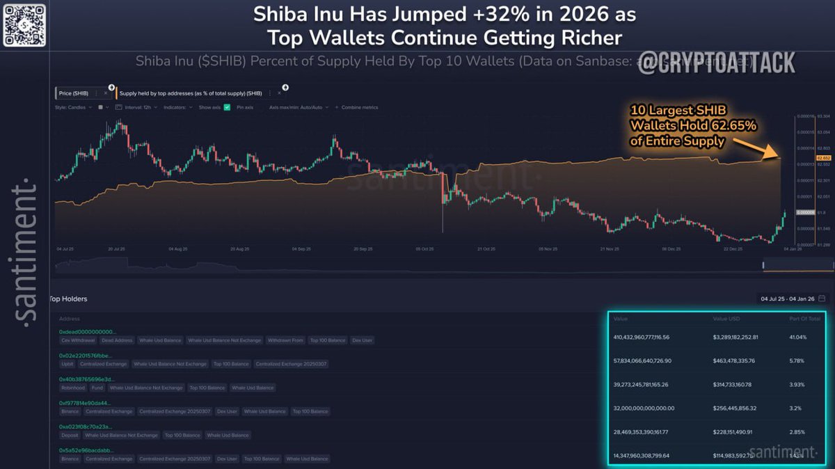 🚀 SHIBA INU HAS INCREASED BY 32% SINCE JANUARY 2026! 📈 💼 TOP 10 WALLETS  HOLD 63% OF THE TOTAL SUPPLY! 💥 THE LARGEST WALLET CONTROLS 41%, VALUED AT  $3.3 BILLION! #SHIB #Crypto #Blockchain #CryptoNews