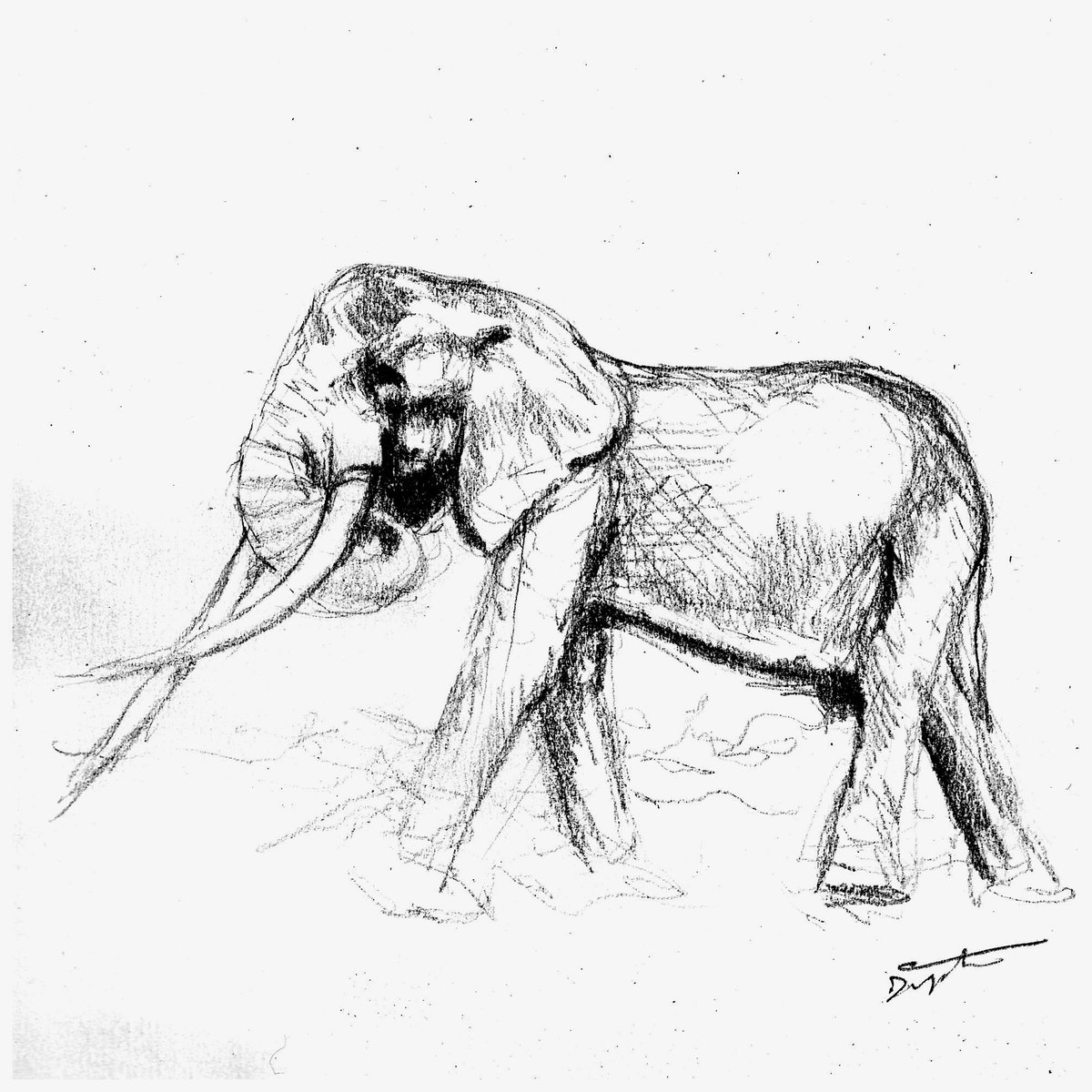 ArtDigitimm's tweet photo. Mannetjes olifant Craig, die wereldwijd bekendheid verwierf door zijn enorme slagtanden, is op 54-jarige leeftijd overleden in het Amboseli Nationaal Park in Kenia. #dailyobservation #digitimm https://t.co/W1u4mtY2ee