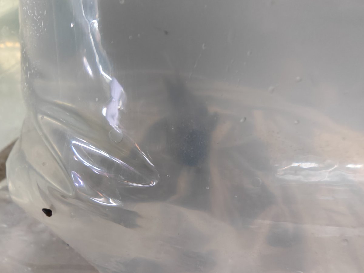 これが怖くて 代引きはやらないと 決めてる😅 ほとんどの人が こんな事