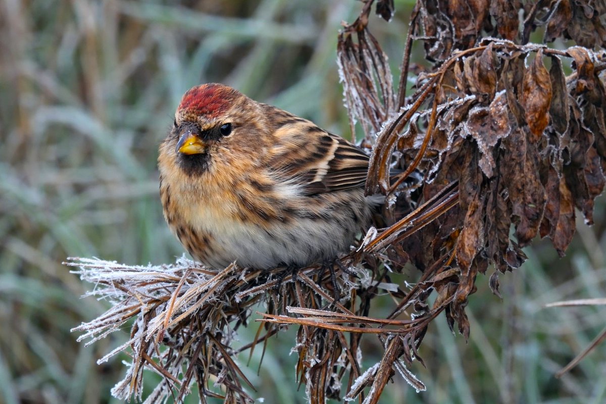 Tim Ballard tweet media