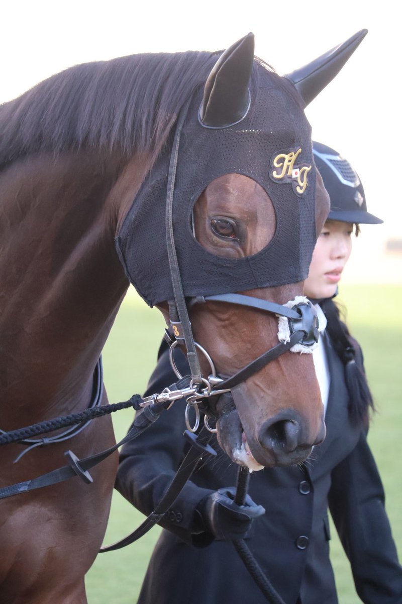 #ダイシンアポロン
#上山牧場