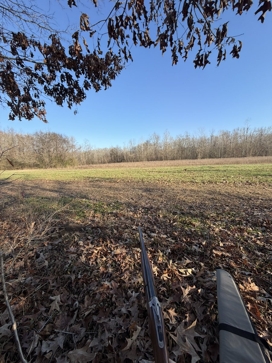 Cooter McGraw tweet media