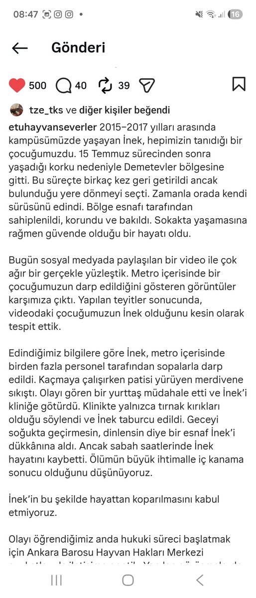 ozgeemeert's tweet photo. Bakın sıfır zekamı kullanarak yorum yapacağım şimdi. Şahitler var ki orada birkaç arkadaşım da var. Köpek darp edildiği için iç kanamadan vefat etti büyük ihtimal. Ayak sıkışmasından yürüyorlar. Eski okulumdaki arkadaşlar mala anlatır gibi anlatmış. Ama bunlar yine anlamaz. https://t.co/I5TXo8mYtQ