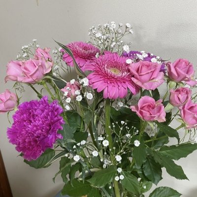 めぐたん ネプチュニアン オートマティック | EDOX Official Site