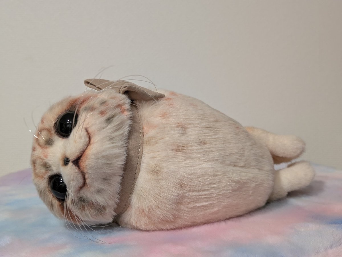 まめこの仔　カーバンクルのぬいぐるみ まめこ (@Mamekonokomame) / Posts / X