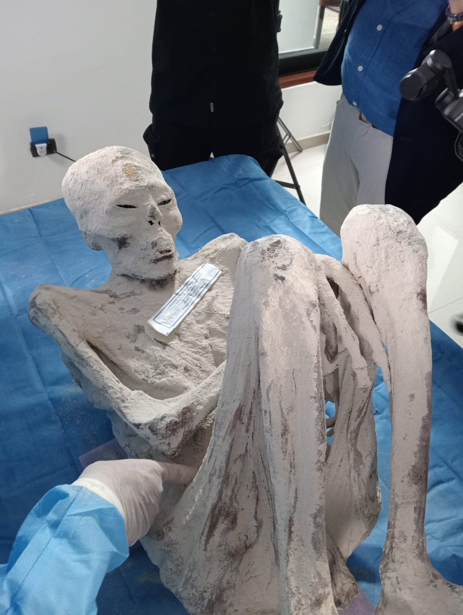 Gonzalo Chavez tweet media